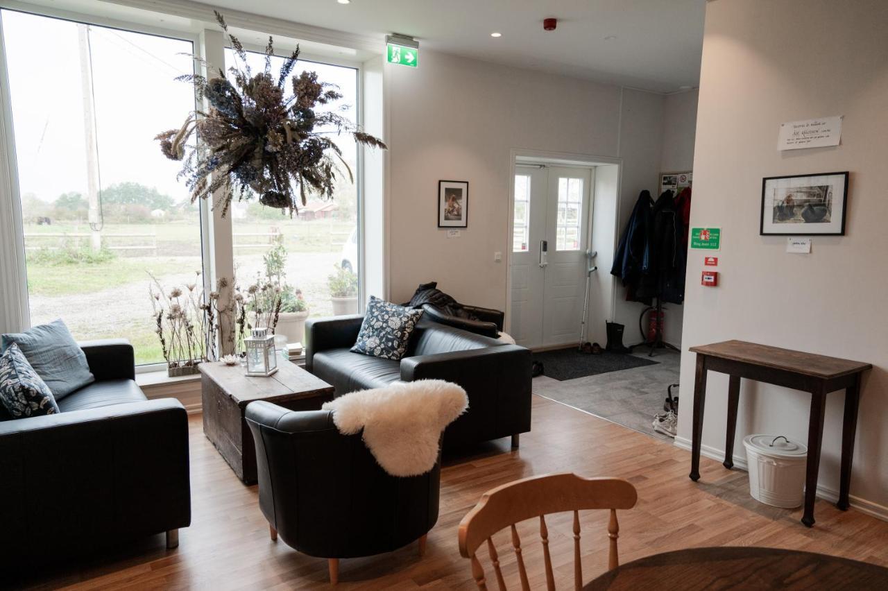 Oelands Yoga Studio & Islandshaestar, Stugor & Rum Mörbylånga Extérieur photo